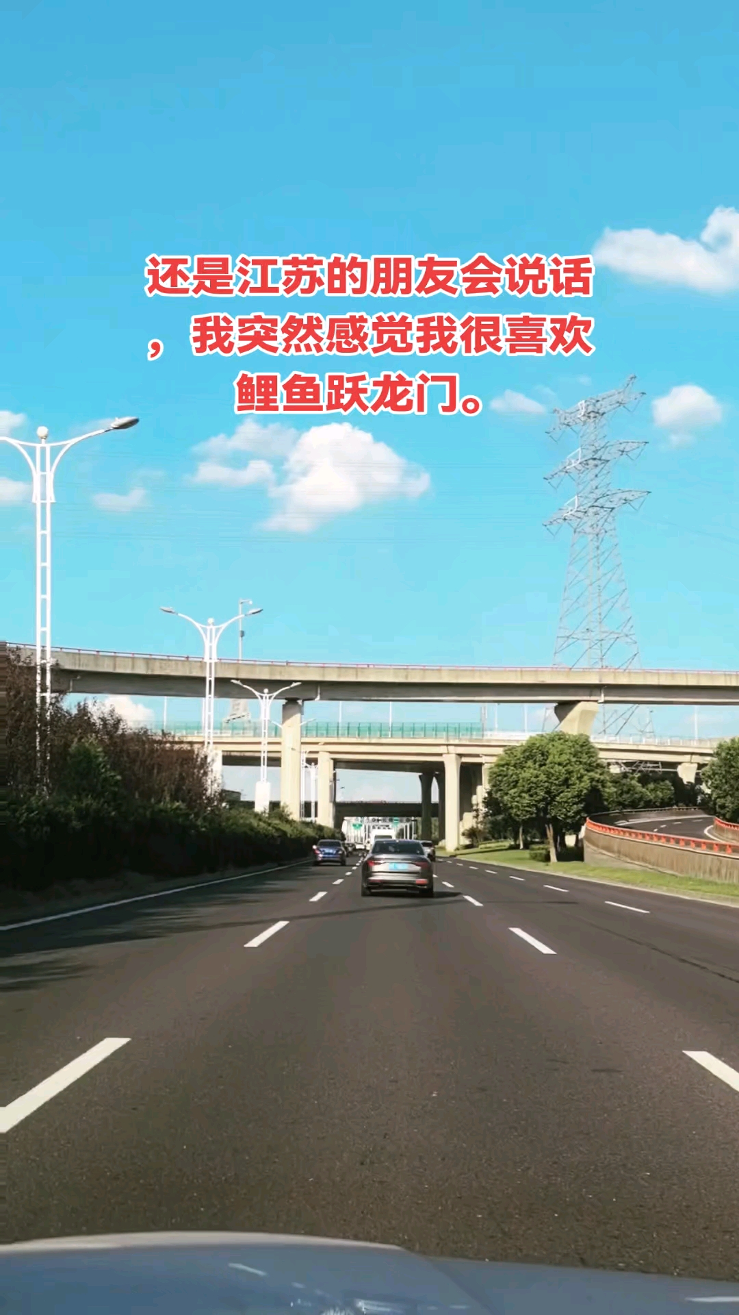 还是江苏的朋友会说话,我突然感觉我很喜欢鲤鱼跃龙门。
