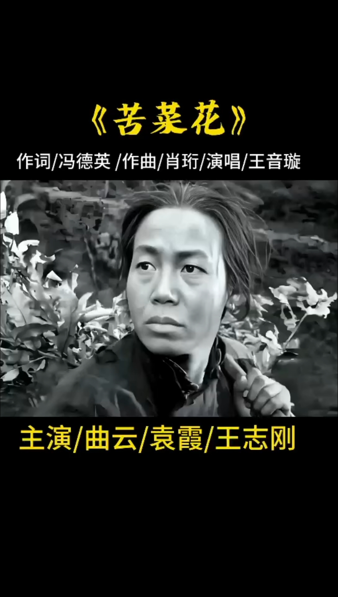 《苦菜花》主题歌超好听,想起了当年坐着小板凳在露天场地看电影