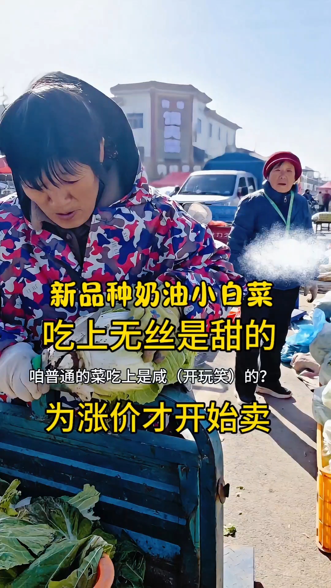 农民大姐种新品种奶油小白菜，等涨价才卖，发财啦