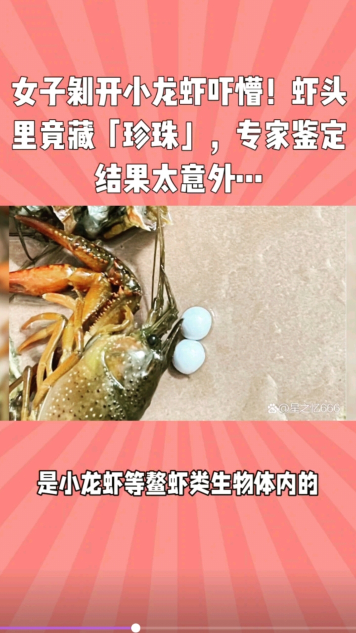 女子剥开小龙虾吓懵!虾头里竟藏「珍珠」,专家鉴定结果太意外