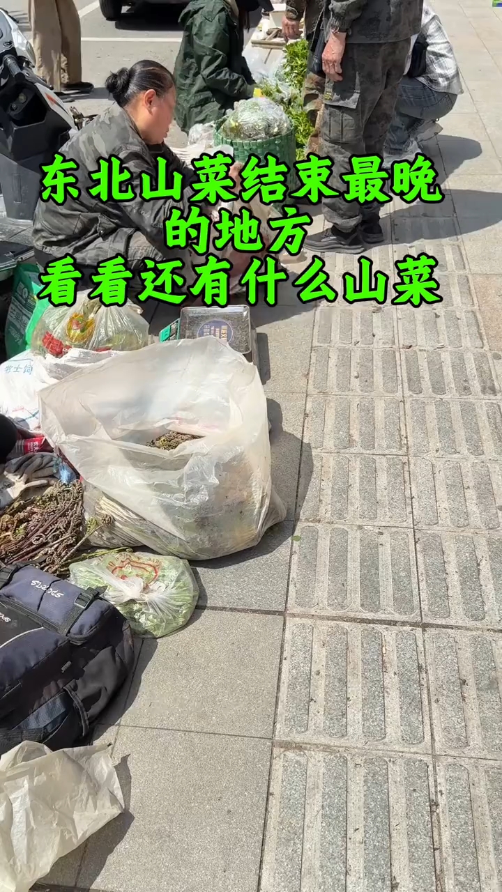分享视频