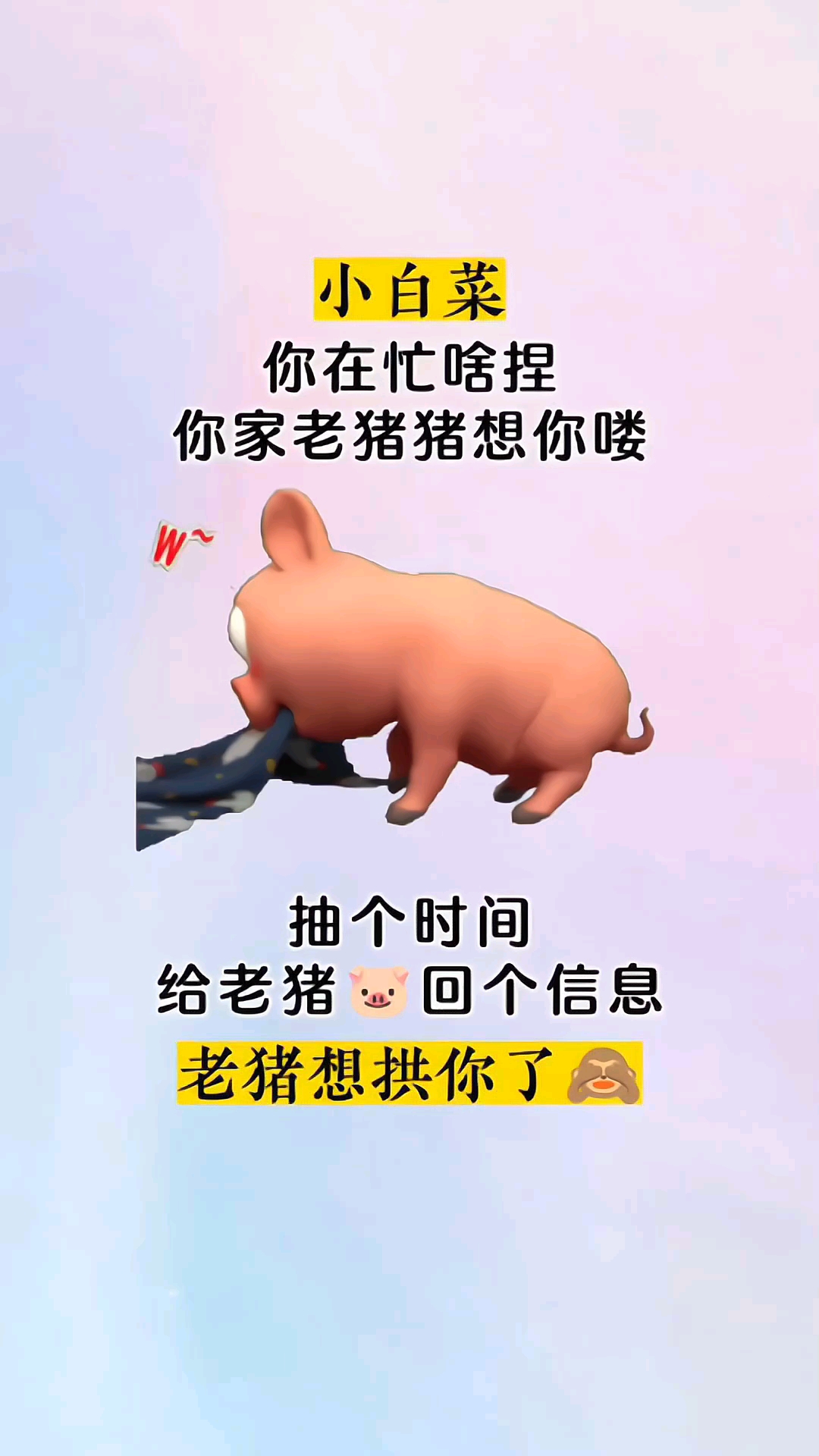 发给对象的表情包