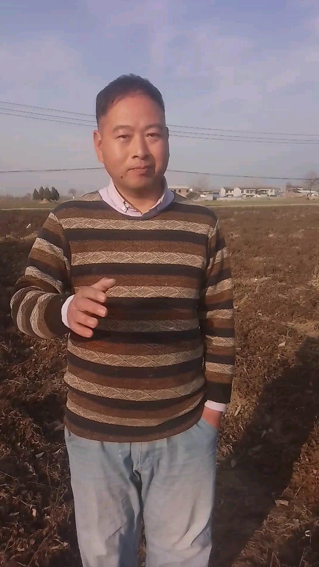 丹参种植的时间和方法
