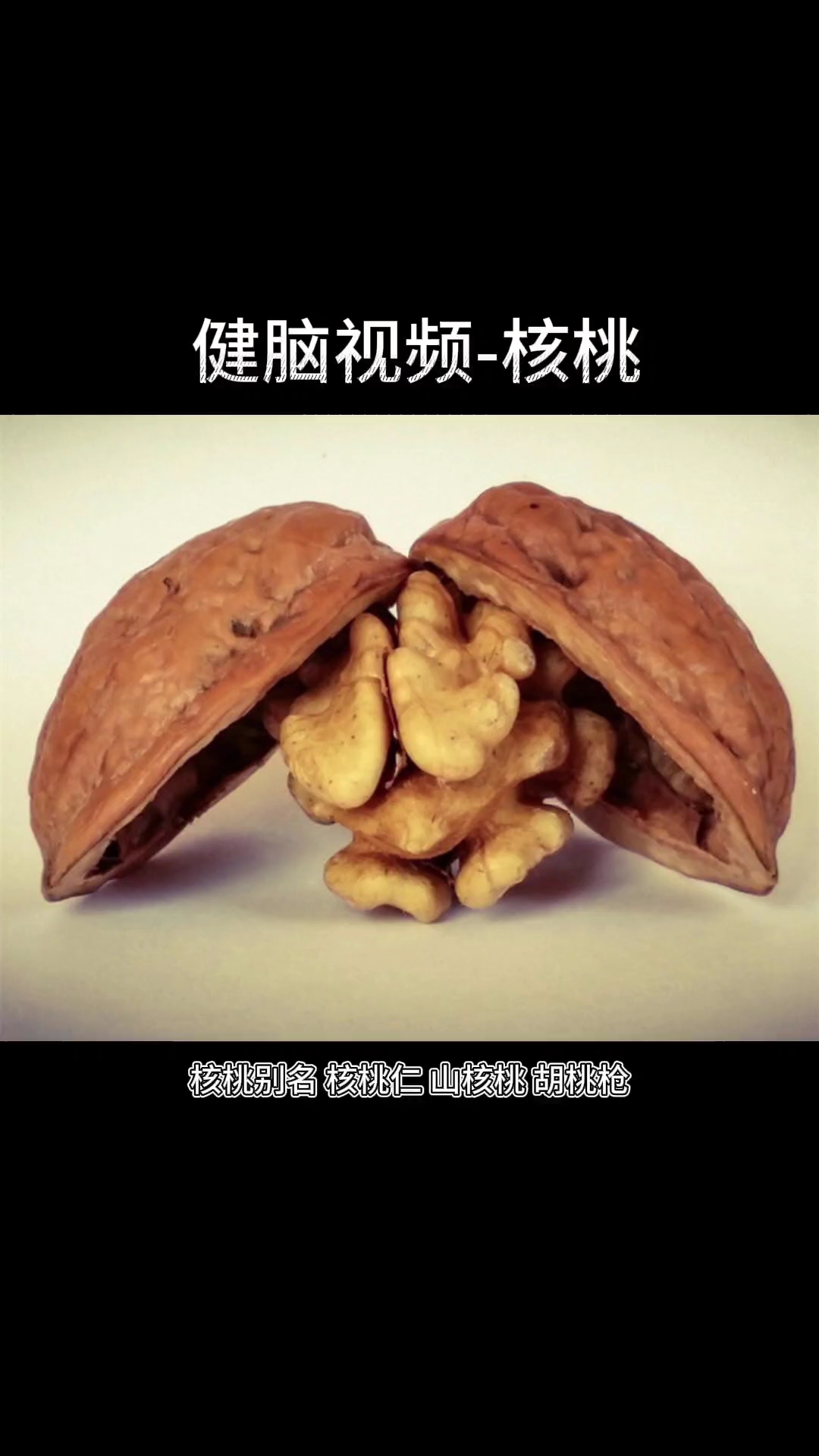 科普向视频,中医一