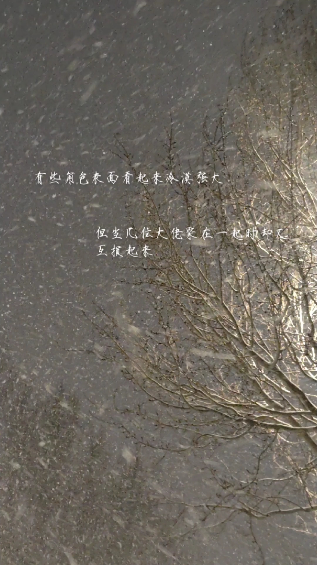 小说中的一些大佬设定