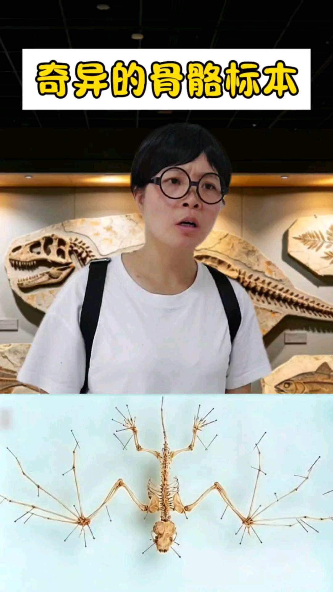 纹络清晰的骨骼标本，是怎么做得呀？ #科普# #剧情# #万万没想到#