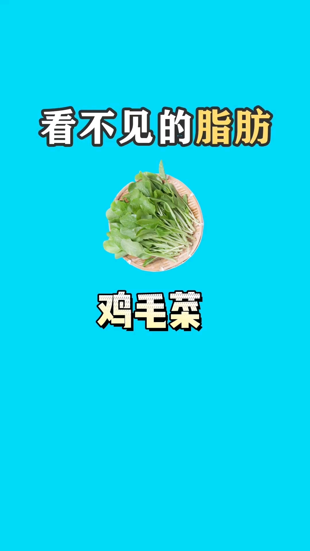 你知道鸡毛菜是什么菜吗