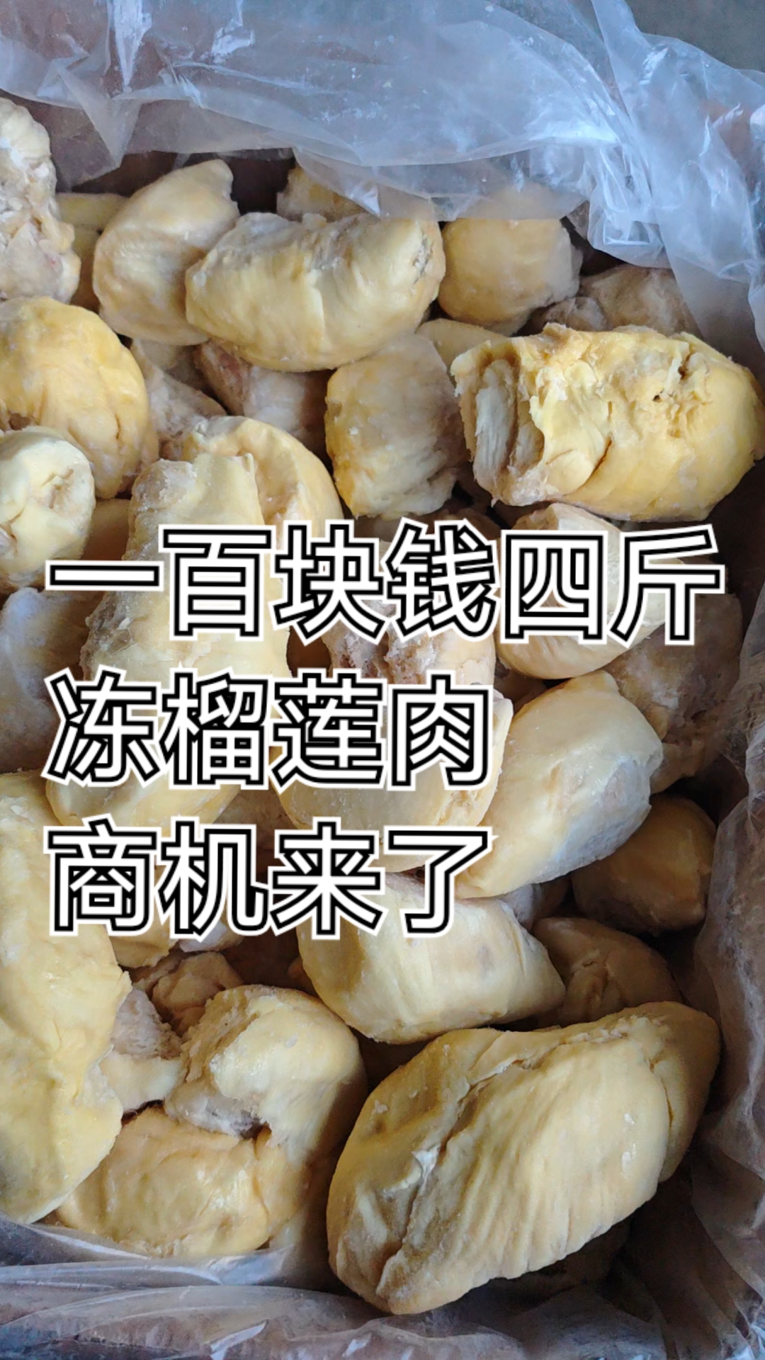 网上爆火的冻榴莲肉一百块钱四斤,商机来了电商团购赶快搞起来吧