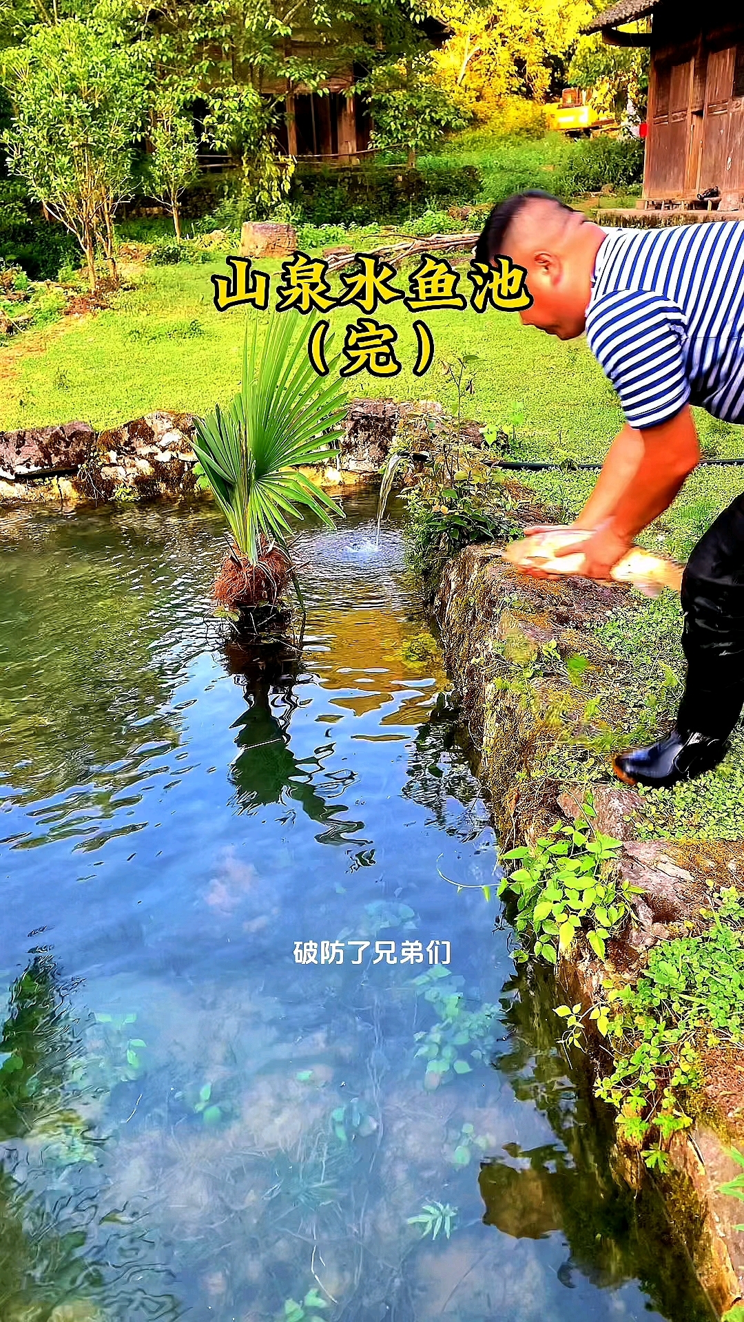 山泉水鱼池终于完工了，鱼池清澈见底！