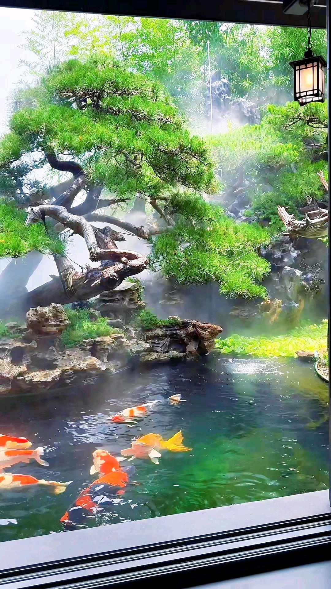 在家自制的假山鱼池，加了个雾化器，烟雾缭绕意境好美，犹如仙境