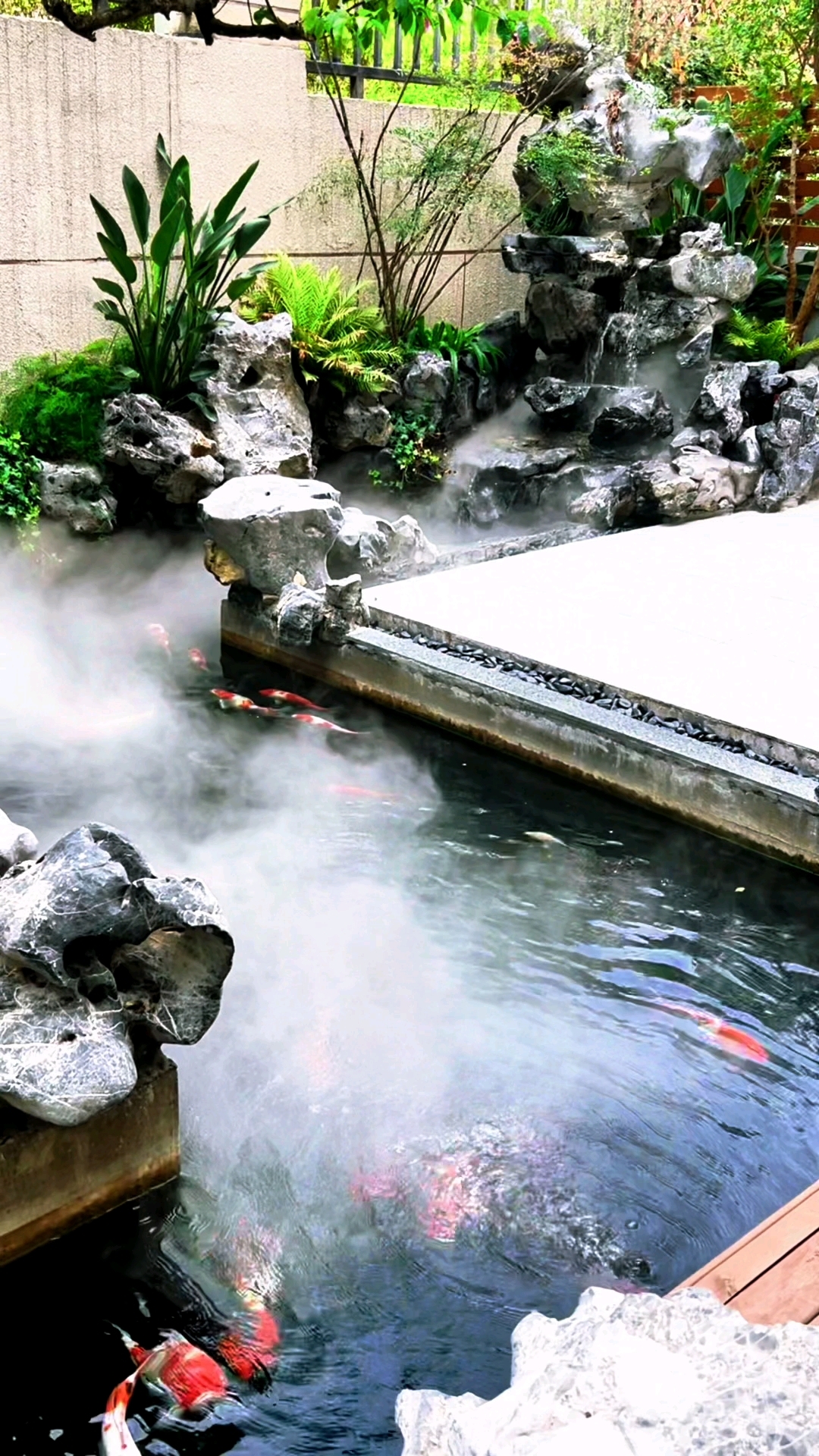 休息的时候来小院坐着,看鱼儿游来游去瞬间觉得好治愈!