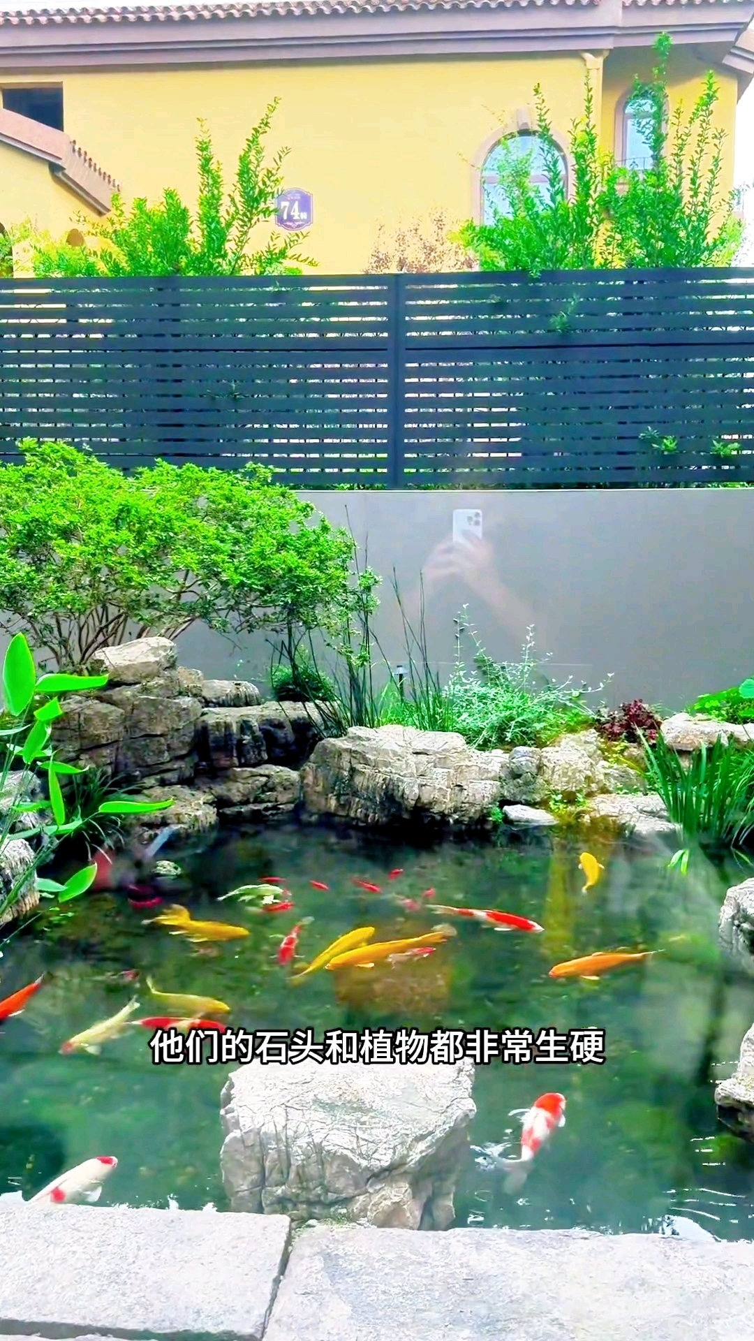她花一万元，在院子里建了个原生态鱼池，太漂亮了！
