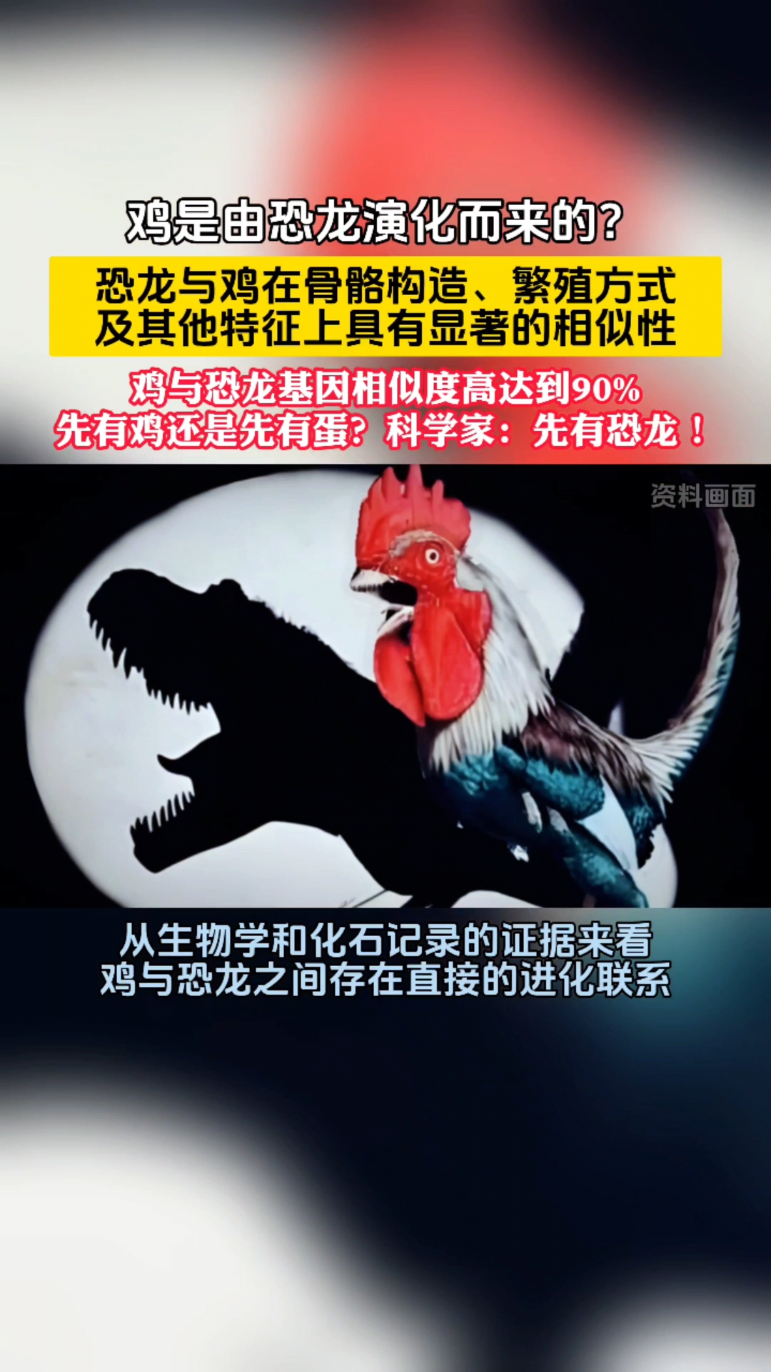 鸡是恐龙的后裔?科学家:恐龙并没有完全灭绝!