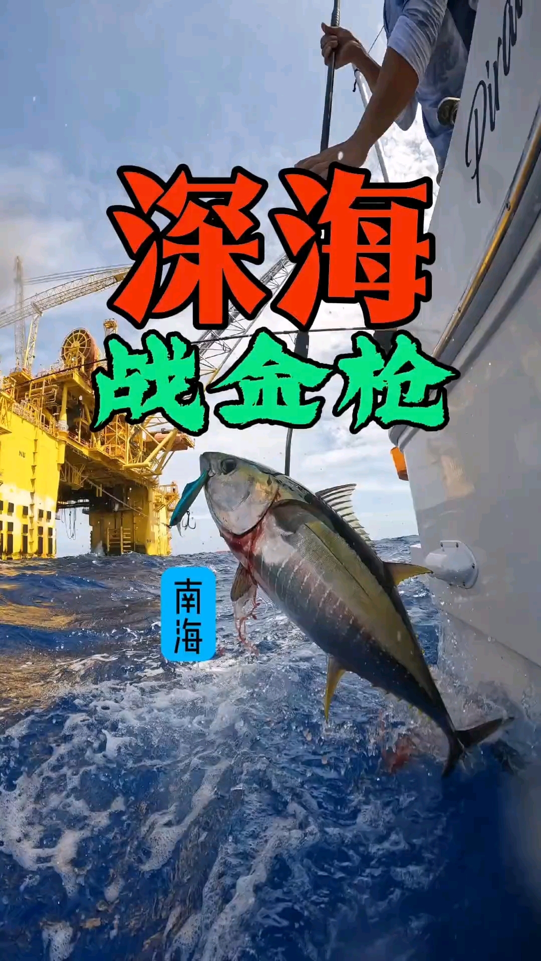 海钓金枪鱼 40 个小时能钓多少金枪鱼？6000 块的成本