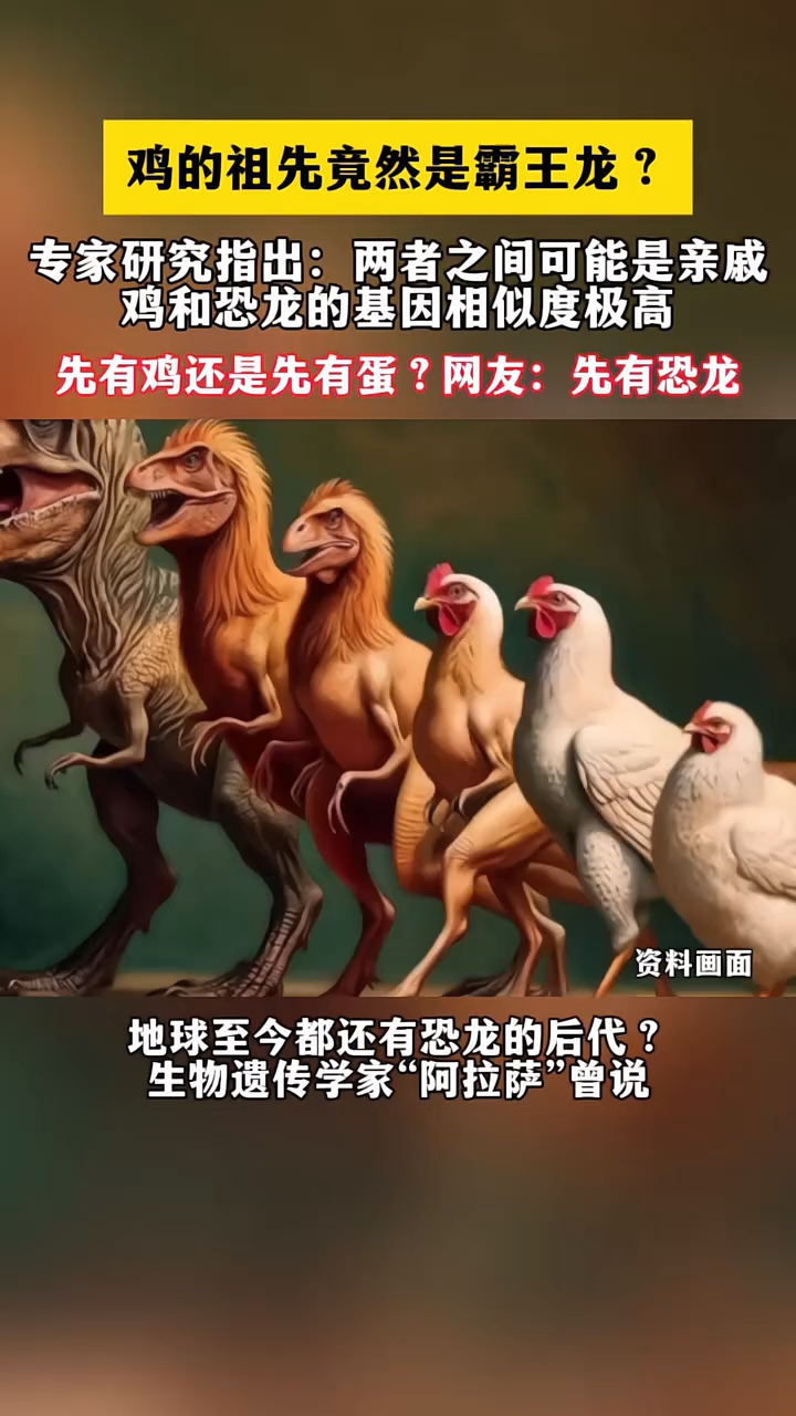 鸡的祖先竟然是霸王龙?