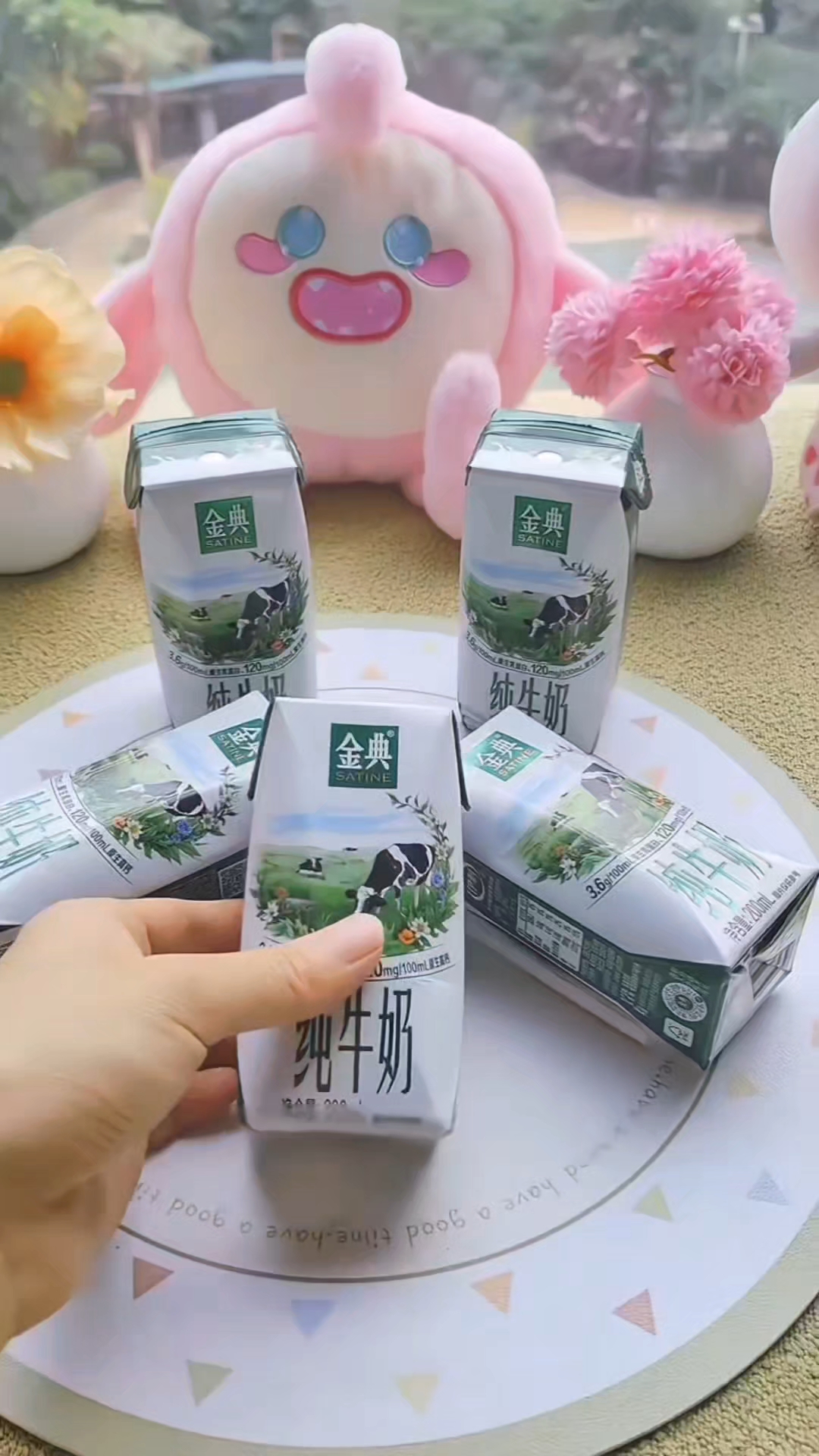 伊利 金典纯牛奶