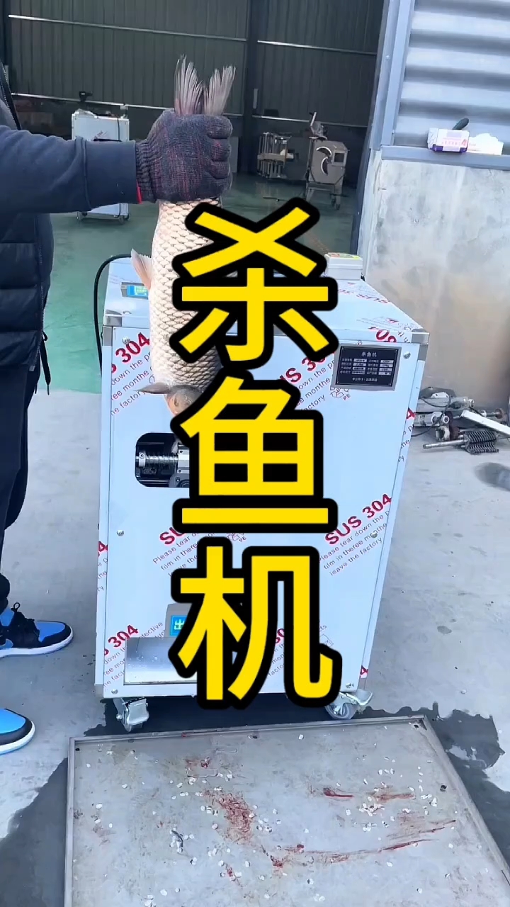 全自动去鳞开背杀鱼机，剖鱼开膛刮鳞杀鱼神器#全自动杀鱼机 #