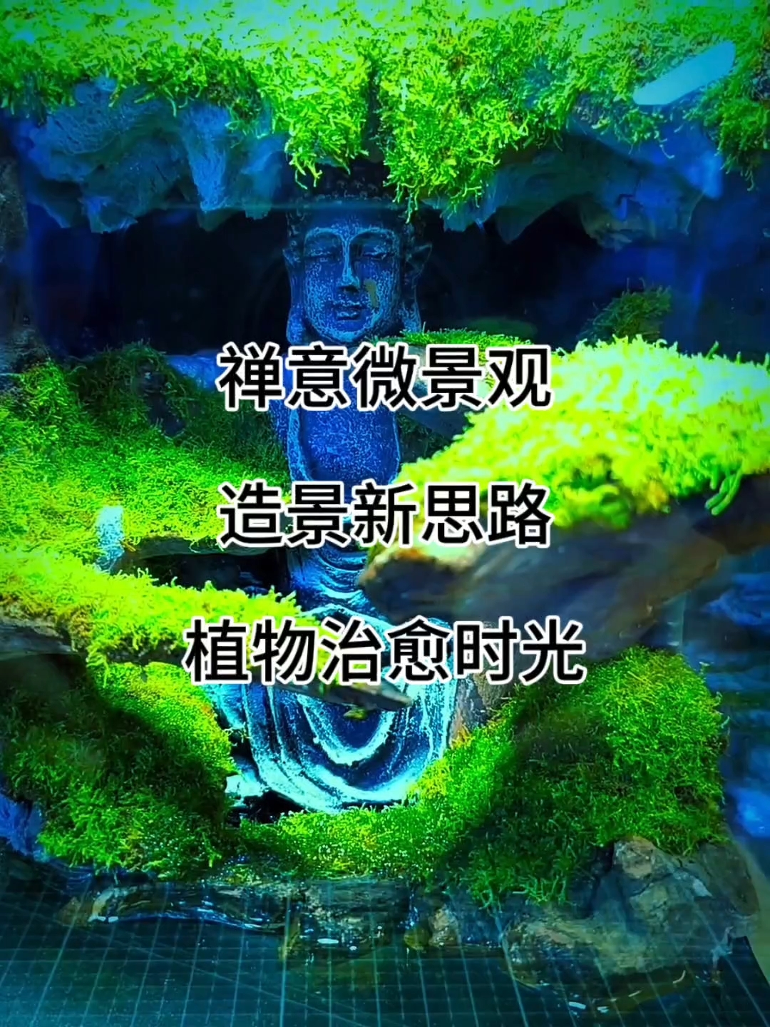 鱼缸中的古佛造景