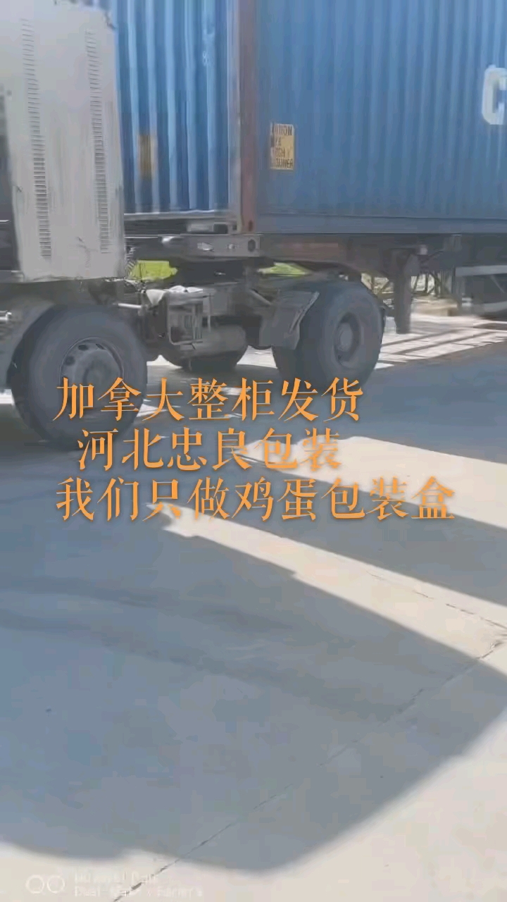 河北忠良包装制品有限公司2025年5月12日加拿大整柜鸡蛋盒