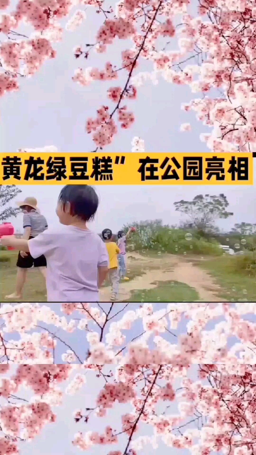 #黄龙绿豆糕在公园亮相