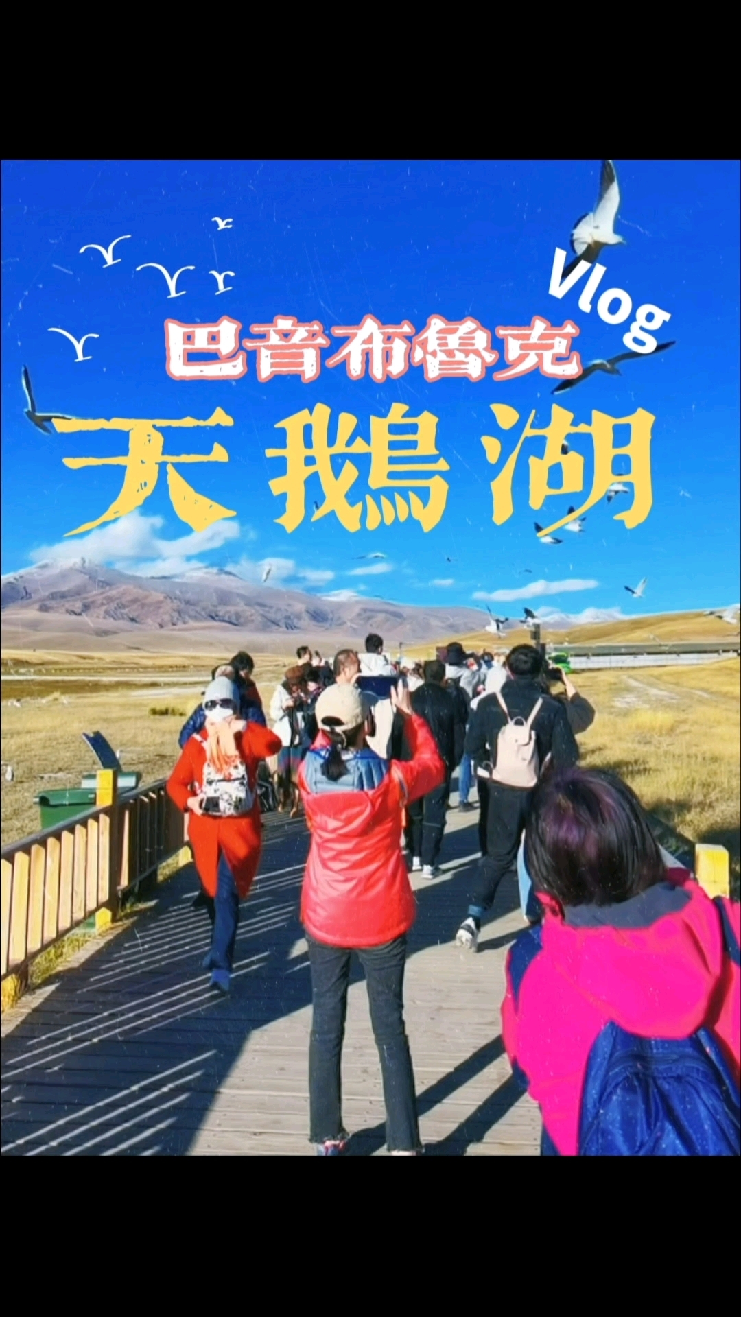 天鹅湖 巴音布鲁克草原  巴音郭楞蒙古族自治州