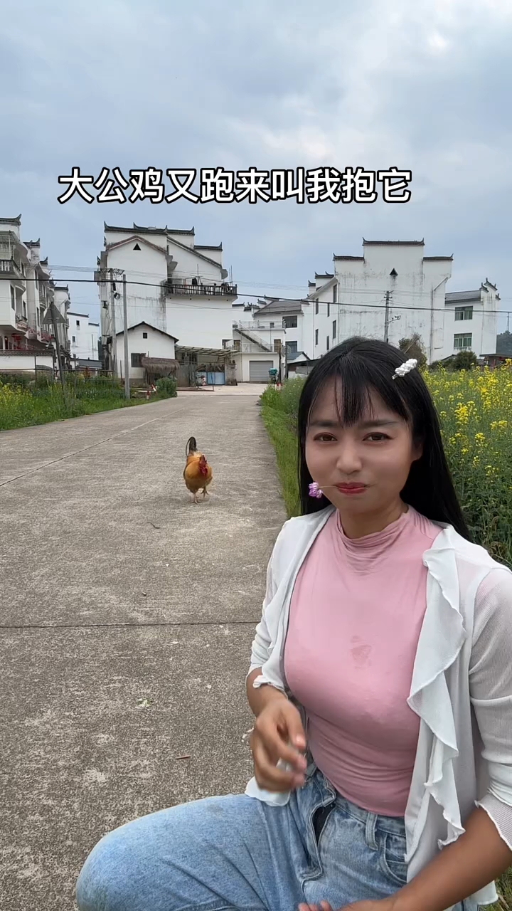 这大公鸡通人性