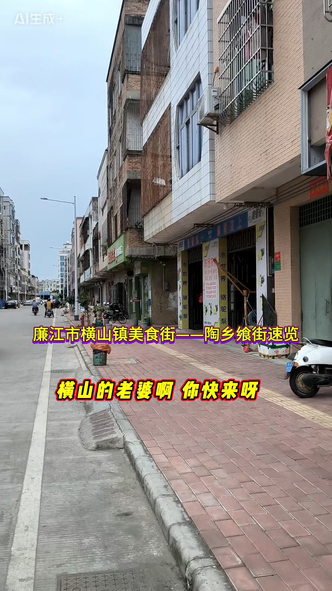 廉江市横山镇陶乡飨街