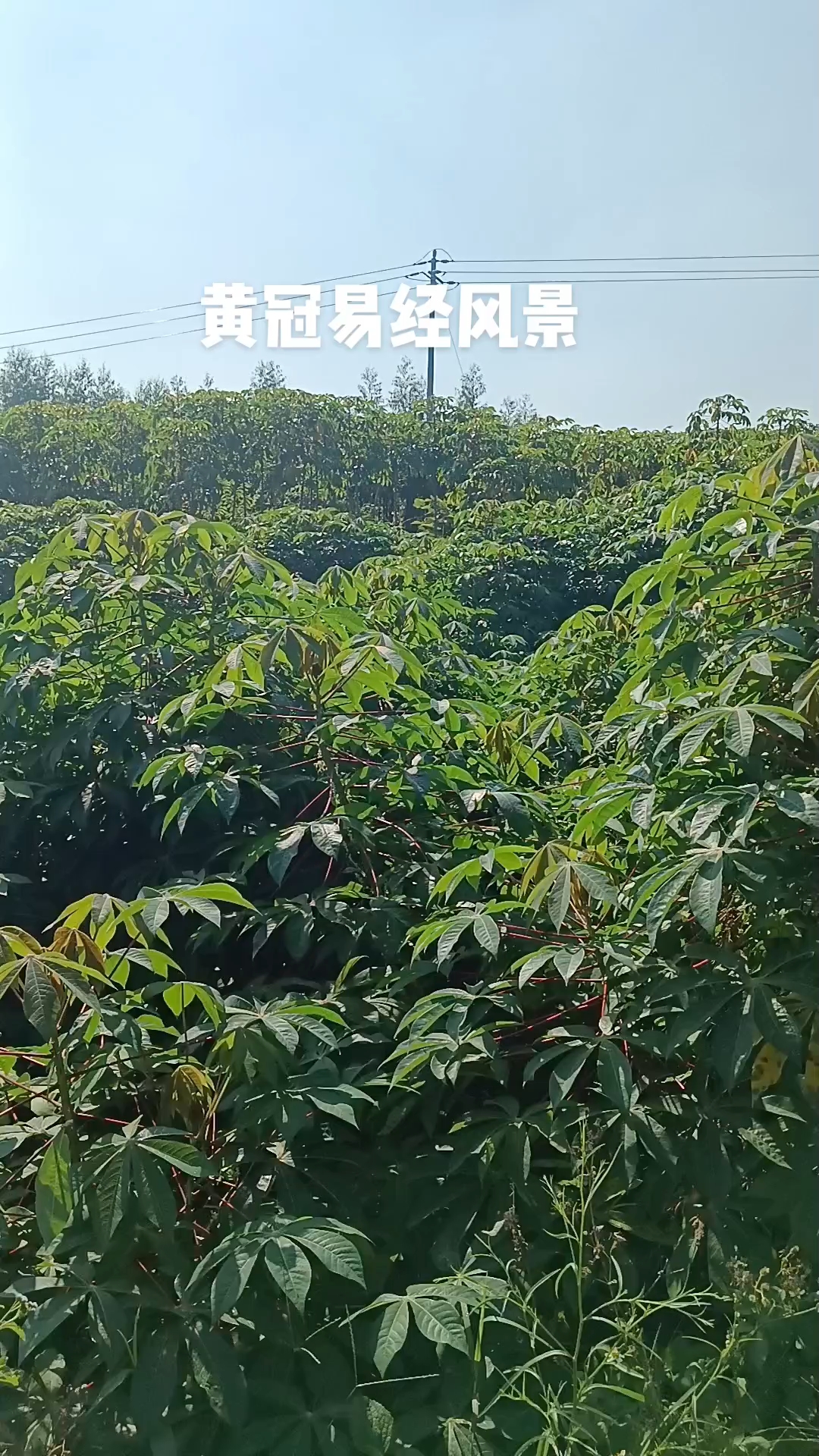 广西南宁黄冠易经风景地形(鲤鱼跳龙门)自古以来福地等福气之家