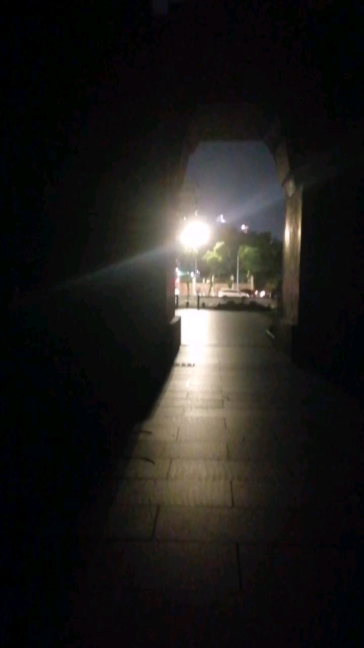 就把海欧当作红嘴雁吧,,也是有红嘴欧