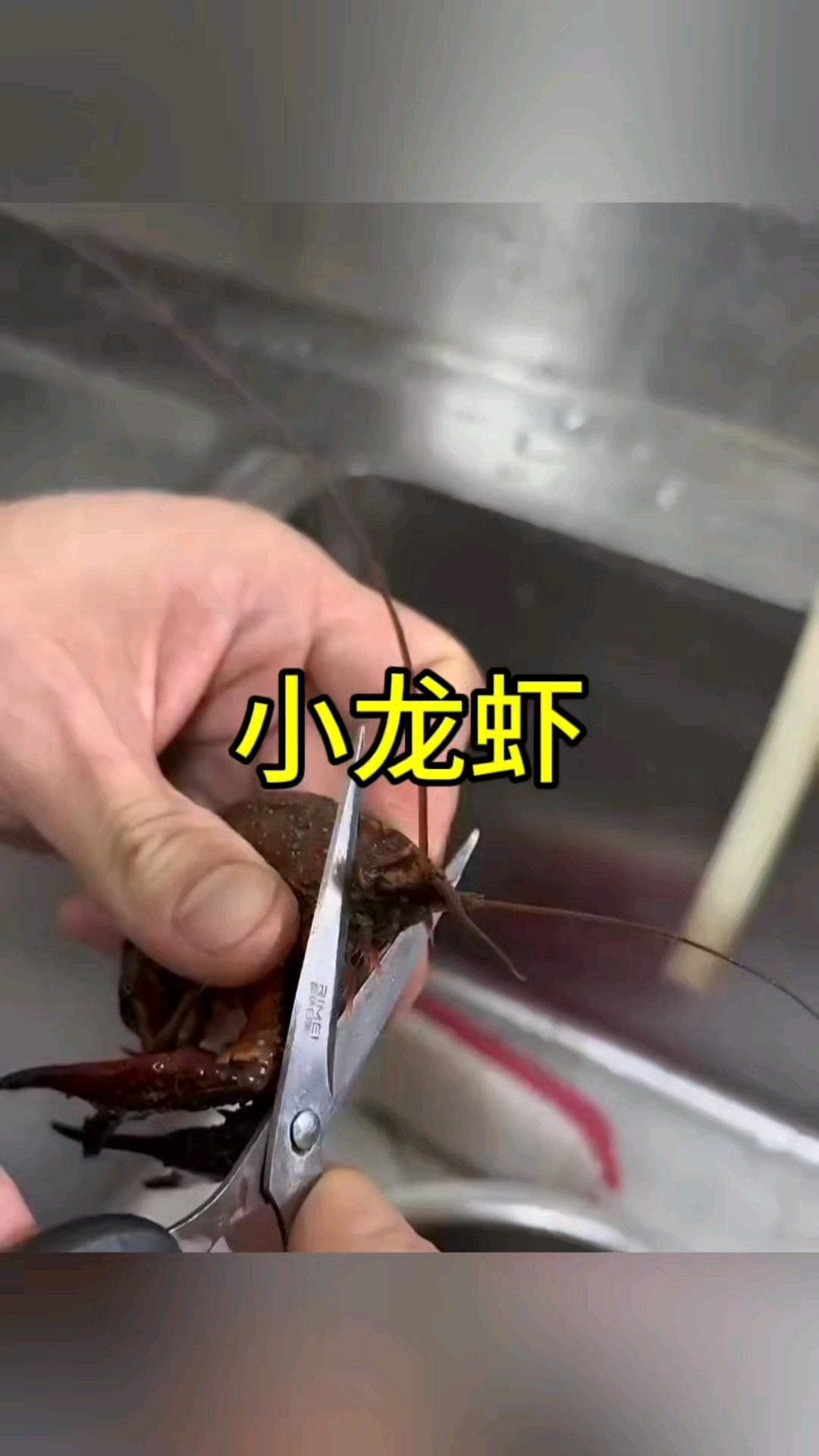 这样处理过的小龙虾就是干净