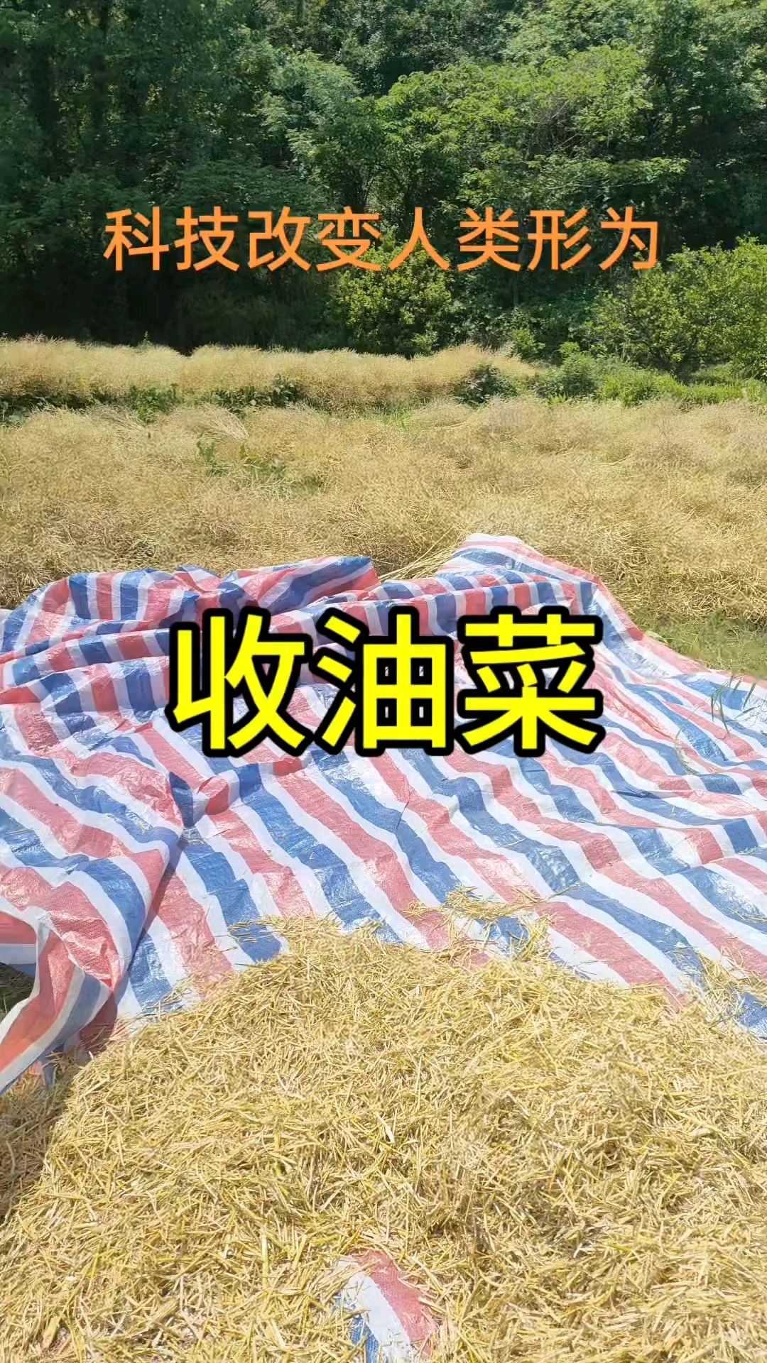 这种小型机器我还是第一次见