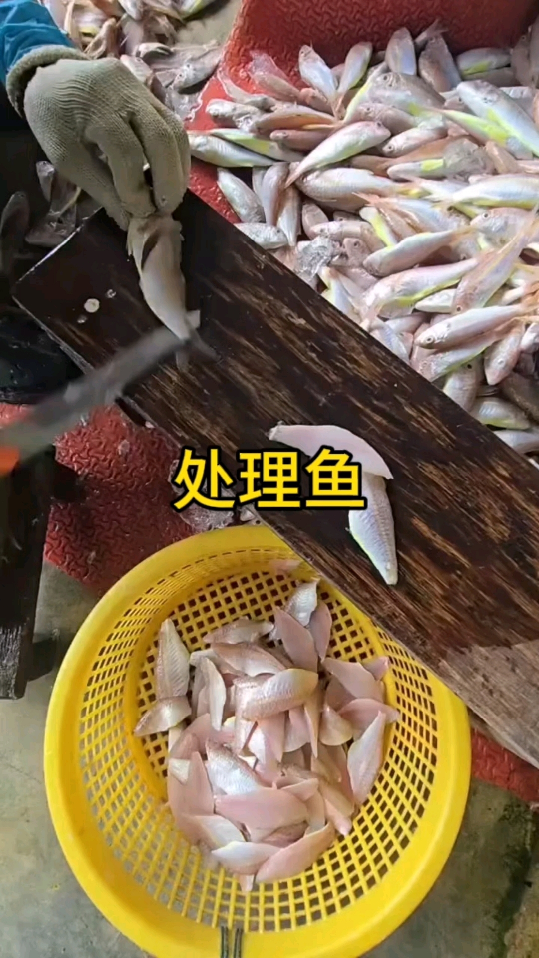 没想到小鱼还能这样处理