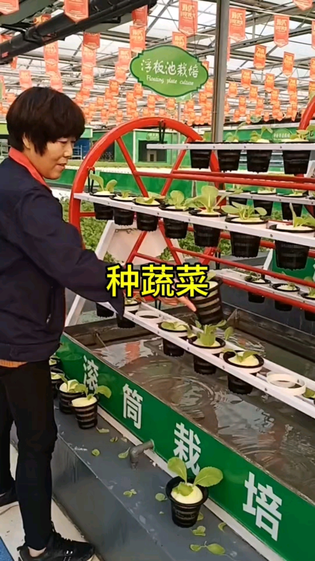 这样的种菜方法,大伙见过吗