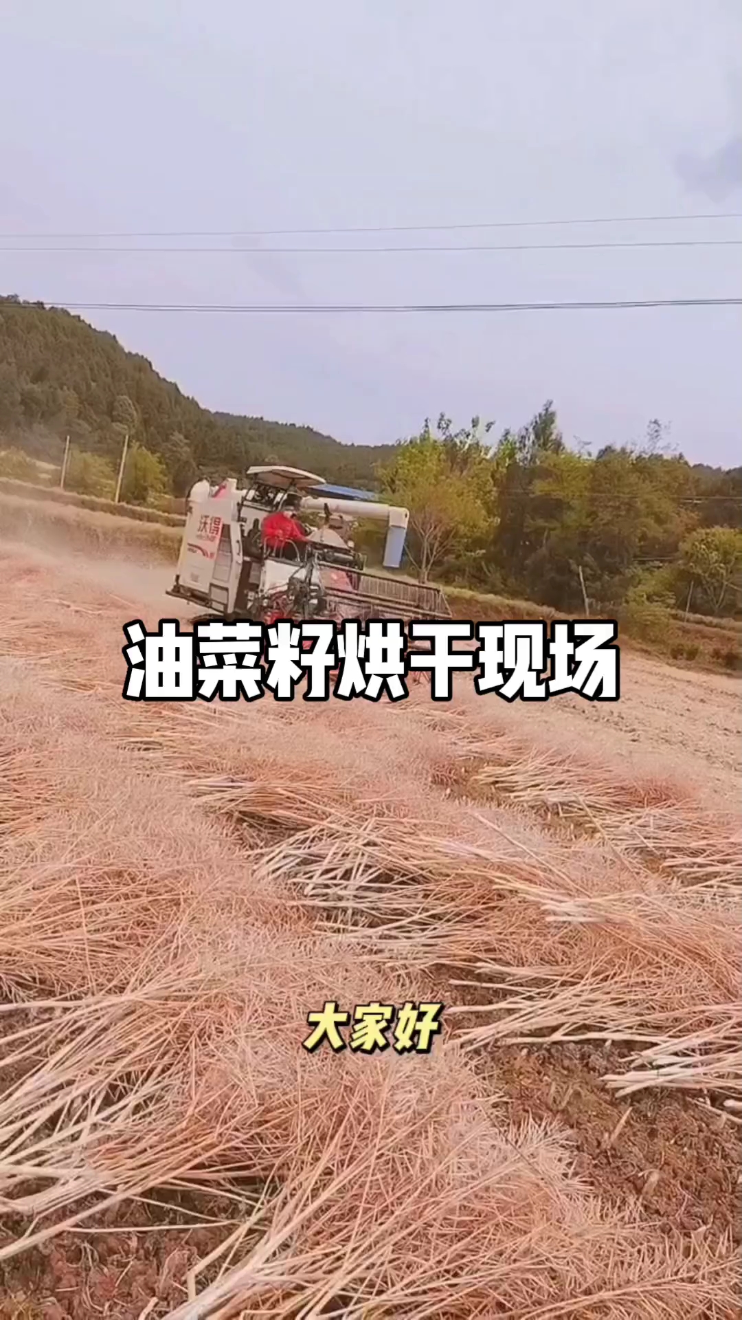 四川油菜烘干机现场,欢迎围观