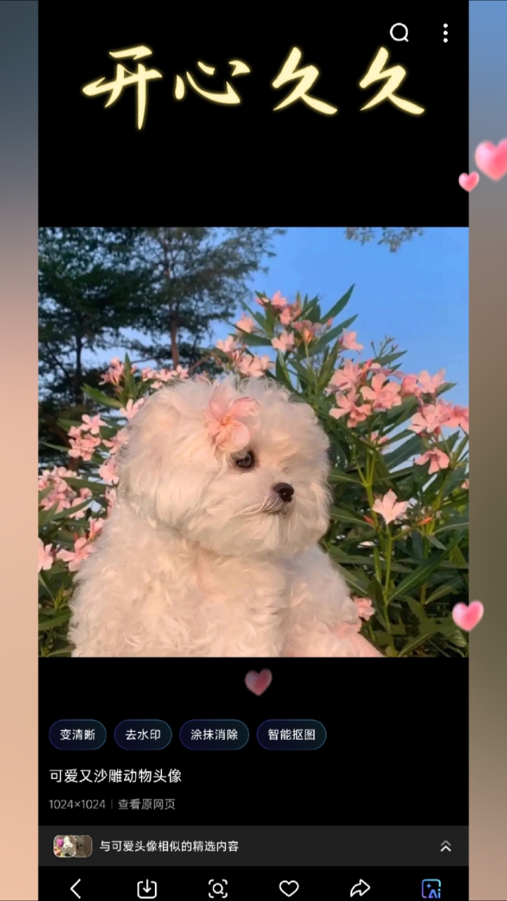 可爱头像第5代来啦!