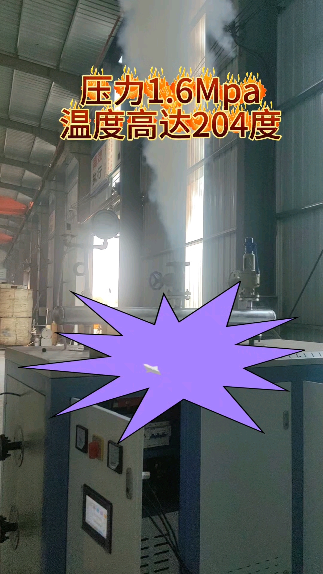 电蒸汽锅炉调试中