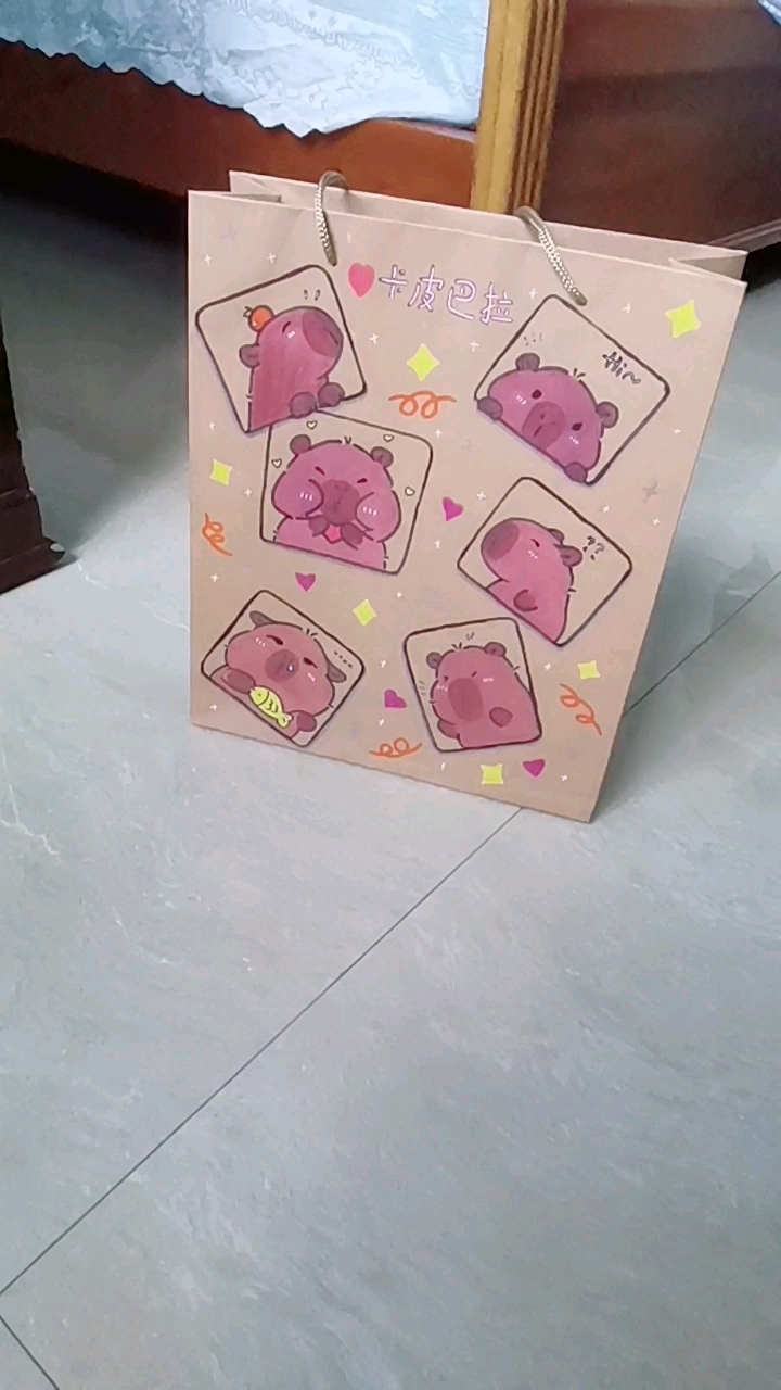 手绘卡皮巴拉袋～(明天再画一下背面)图片来源:小红书