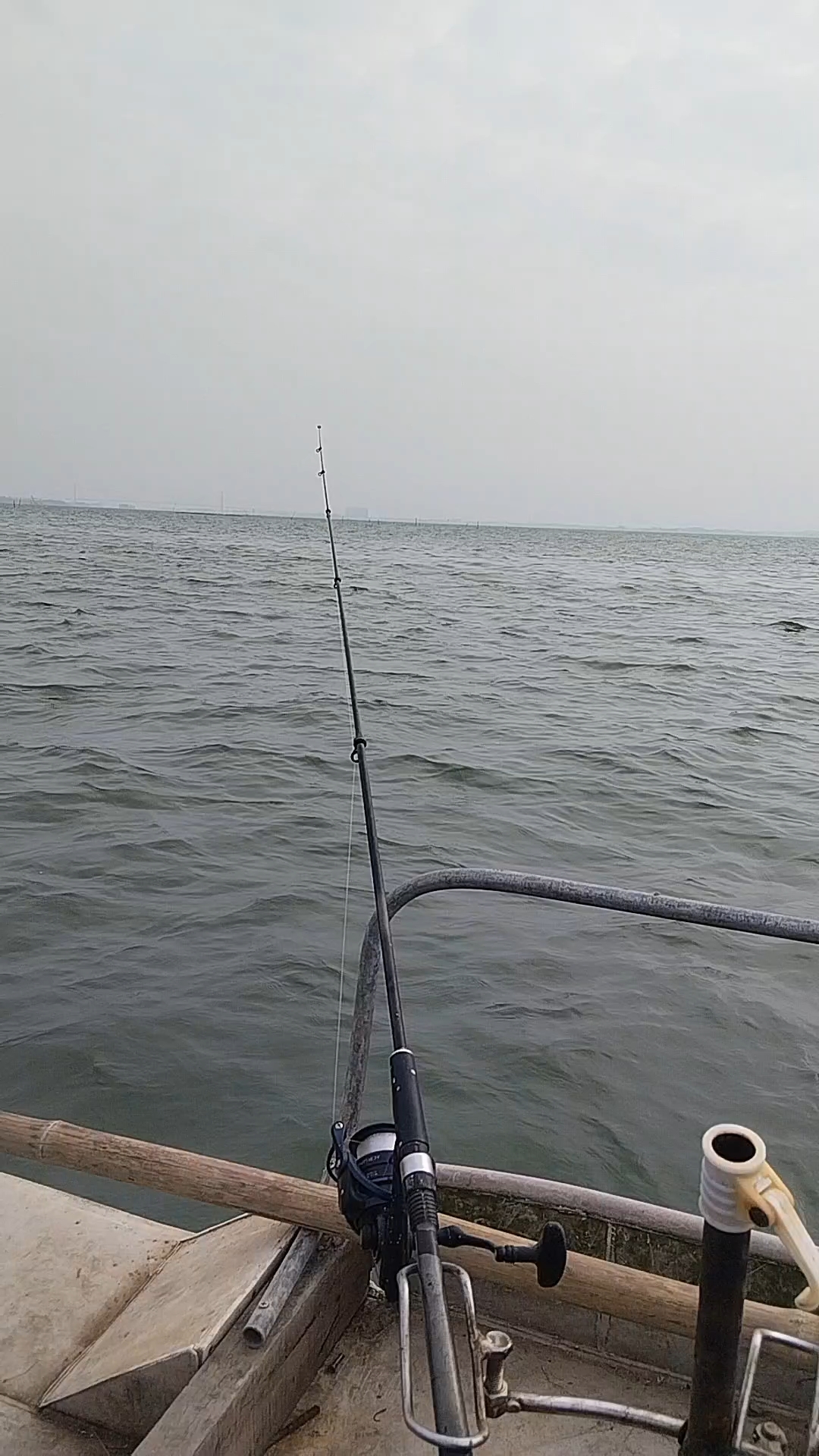 海钓沙钻鱼,少少够一餐#海钓#