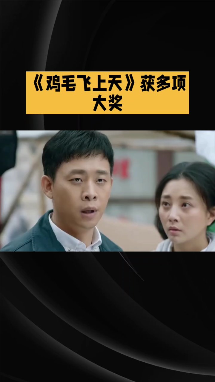 电视剧《鸡毛飞上天》