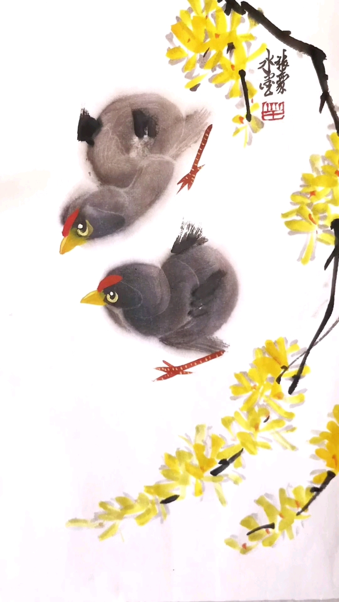 画两只小鸡和迎春花
