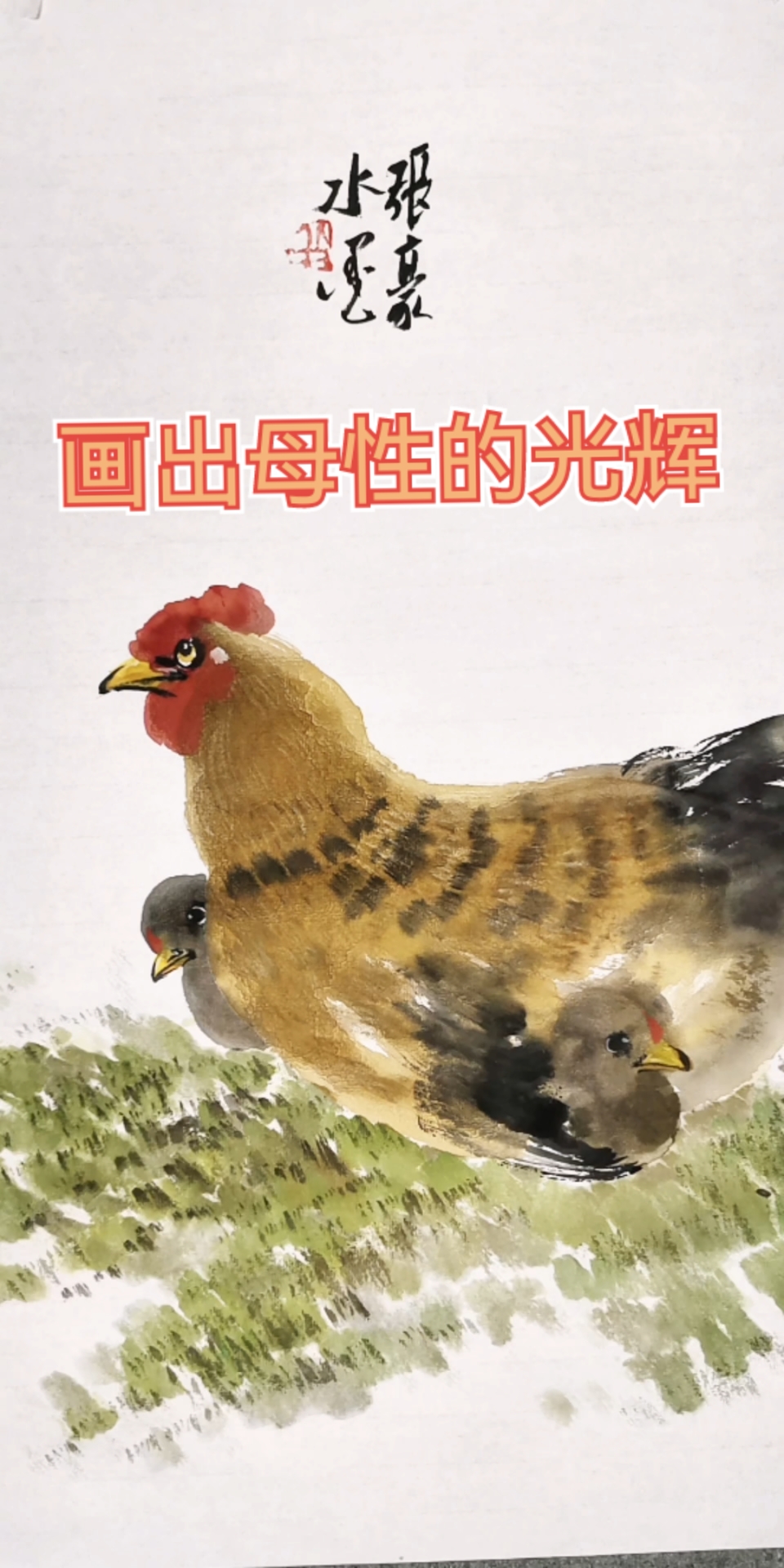警惕又劳累的母鸡尽职尽责的守护着自己小鸡仔