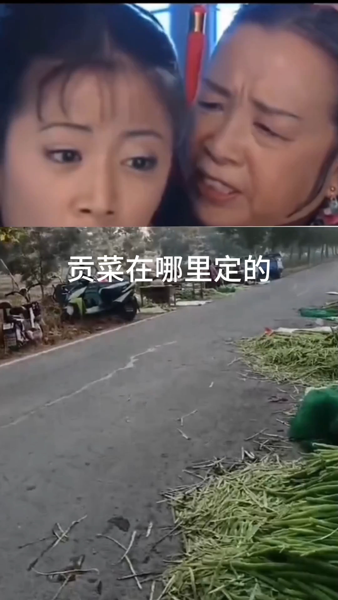 田间地头采摘特色农家菜贡菜
