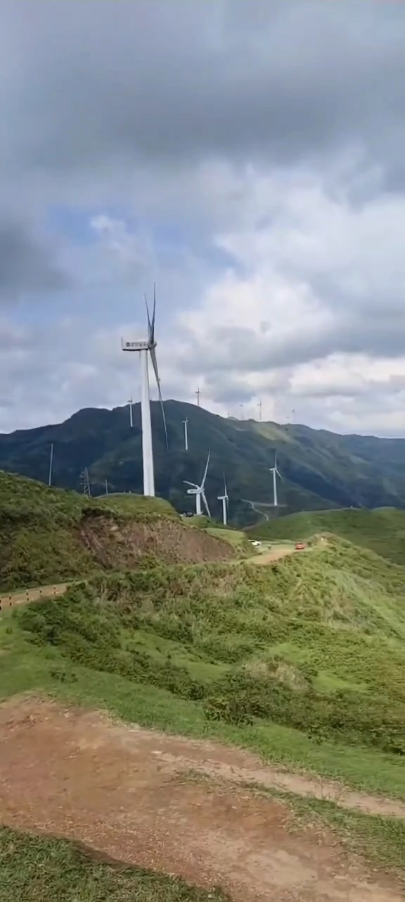 信宜阳春高州鸡笼顶