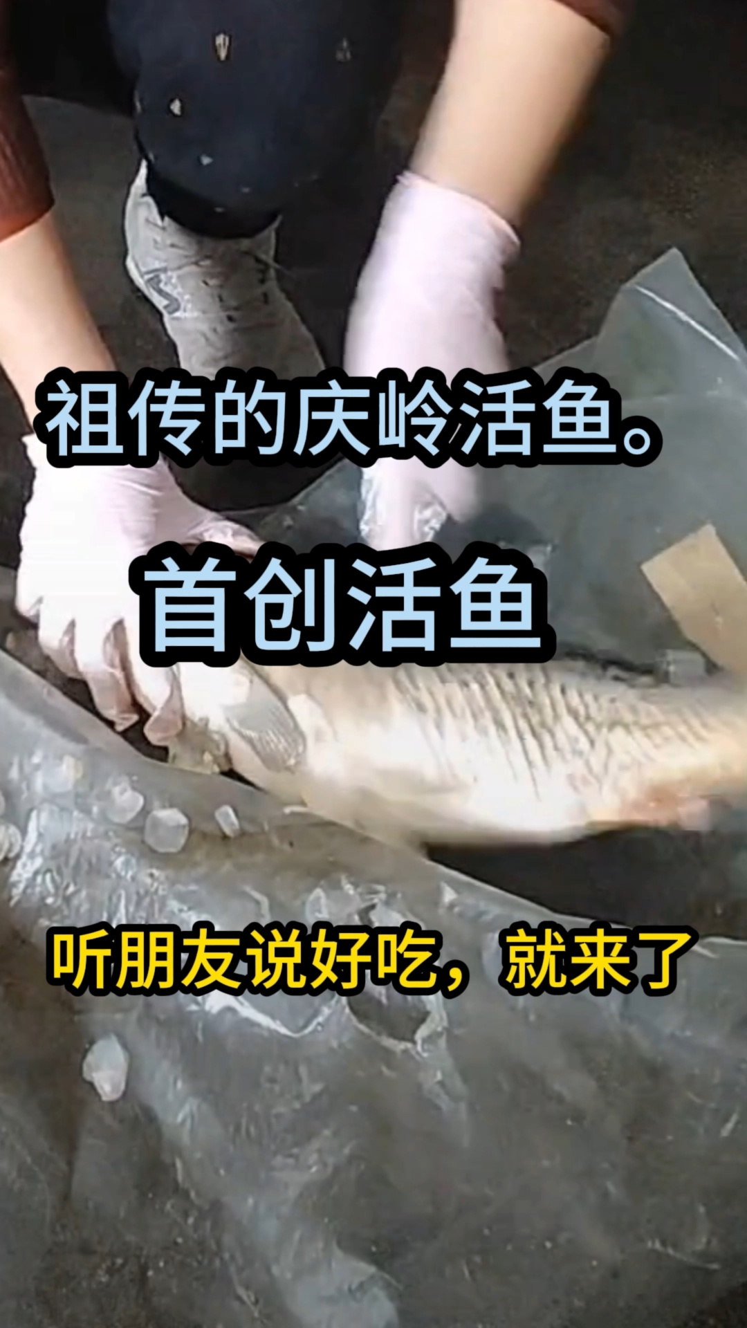 庆岭活鱼