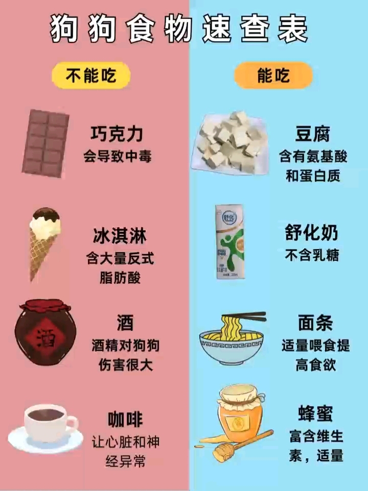 狗狗长寿这样吃#狗狗#狗狗日常#狗狗膀胱结石#干饭小狗