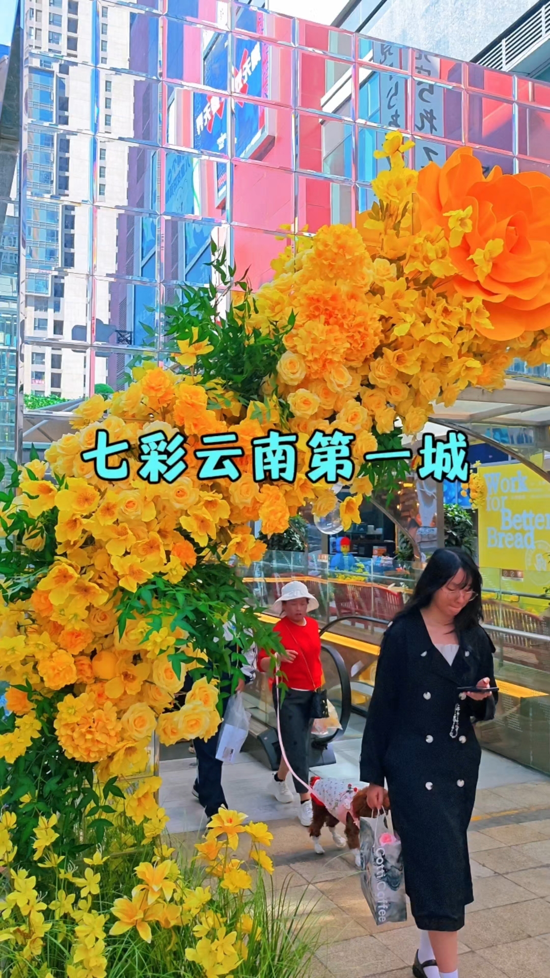 周末的昆明呈贡七彩云南第一城,有新店开业好热闹