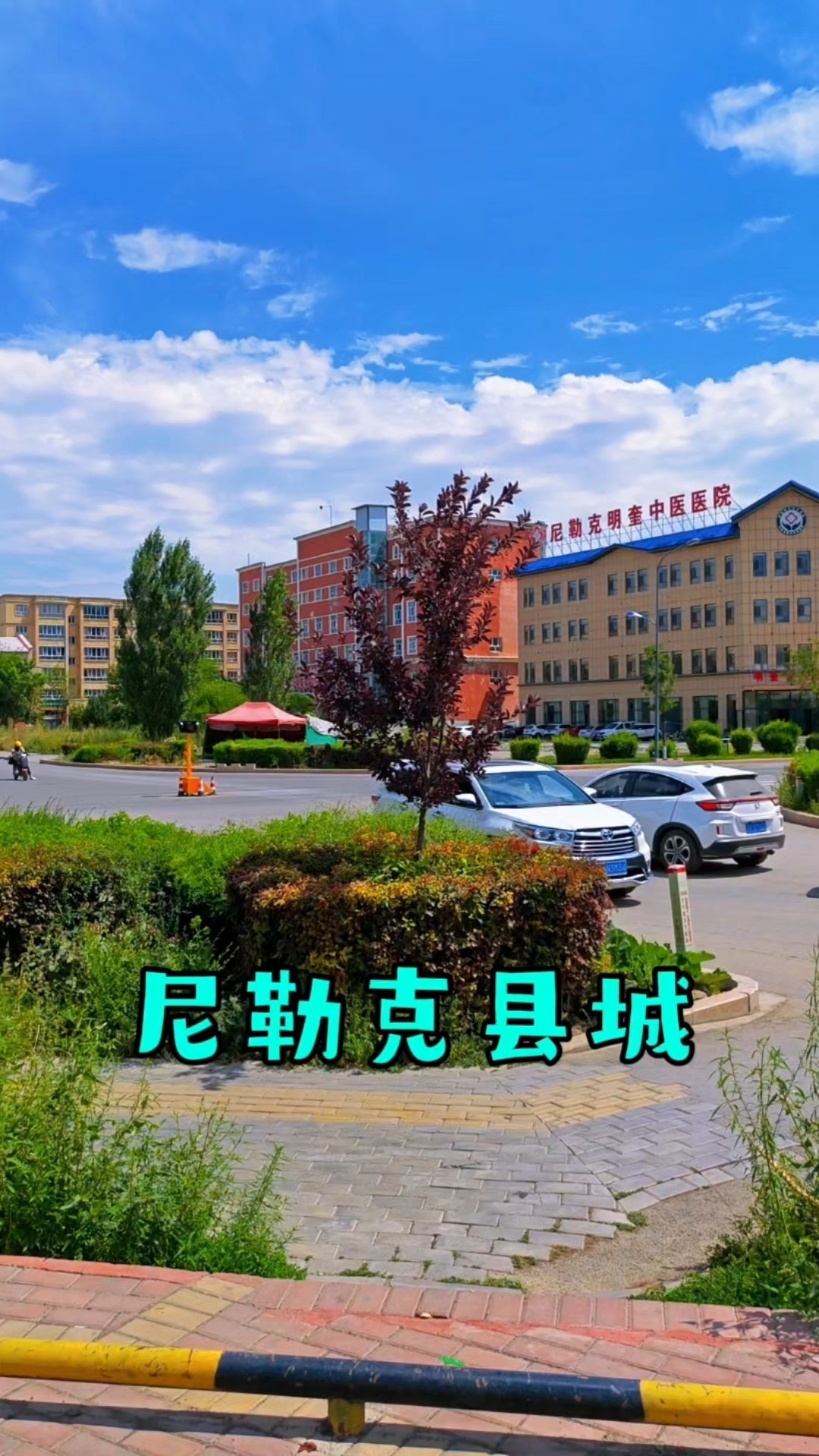 自驾游新疆途经尼勒克县城,逛农贸市场补给物资