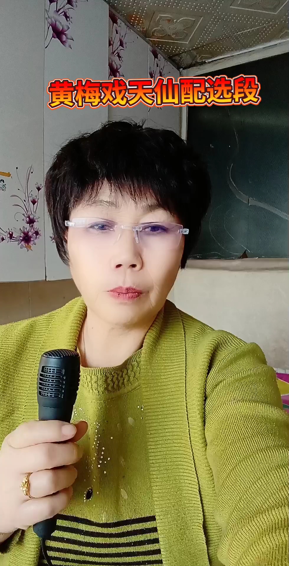 黄梅戏龙归大海鸟入林