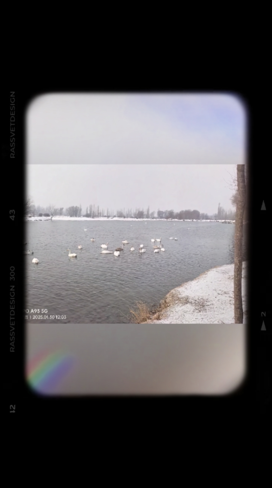 新疆伊宁县萨木于孜镇撒拉村天鹅湖