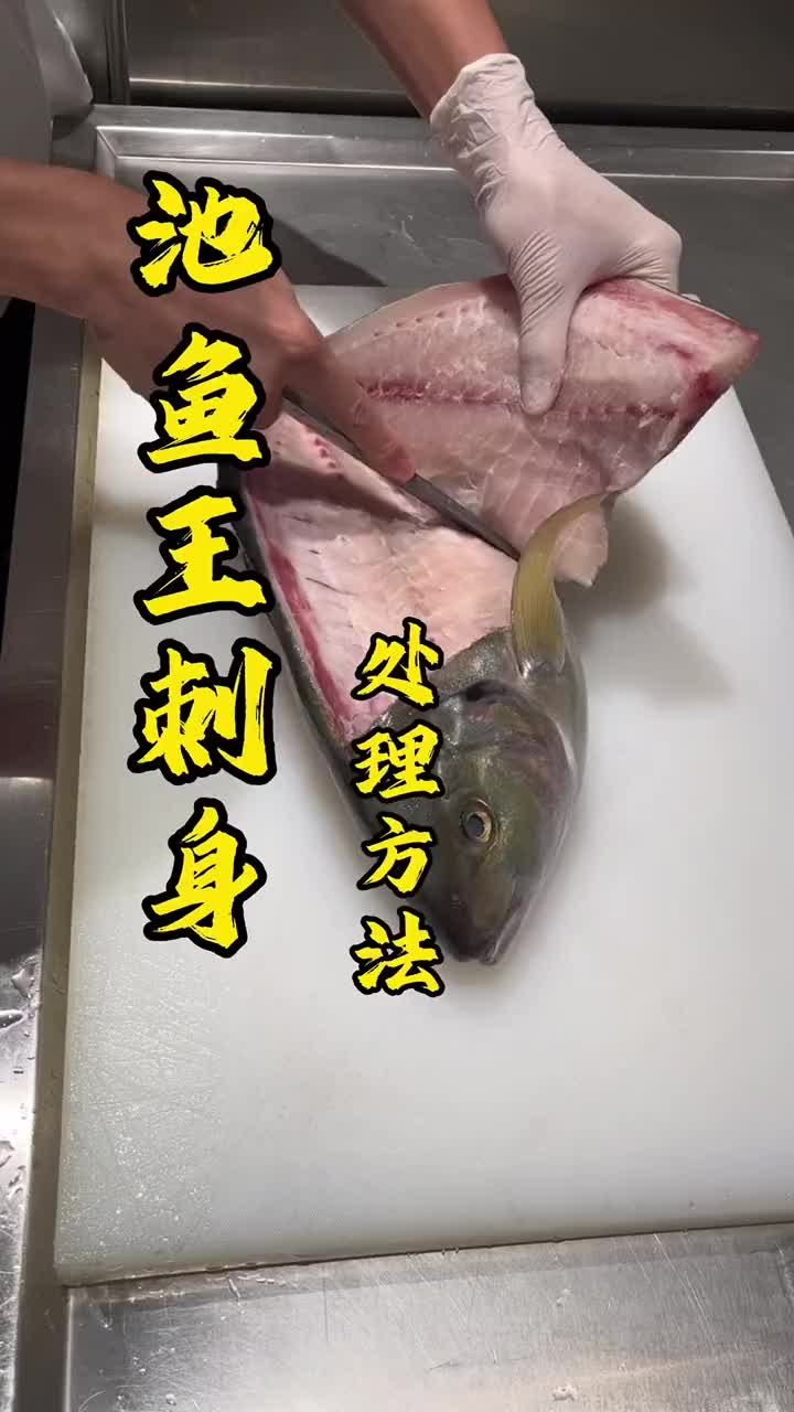 久违的池鱼王刺身来了,纯现场分享